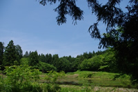保全地