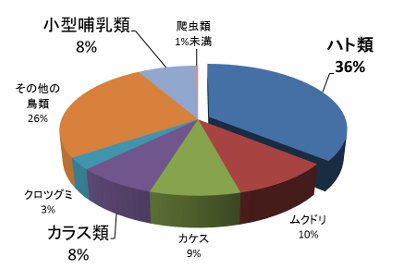 食性