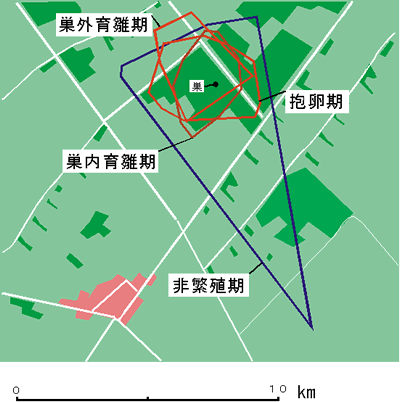 オス行動圏