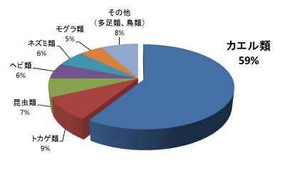 餌動物グラフ