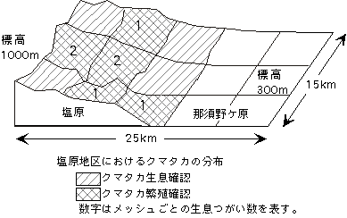 分布