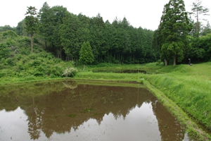 市貝保全地